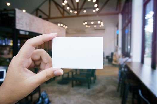 Close up of women hands holding business name card blank copy space screen.