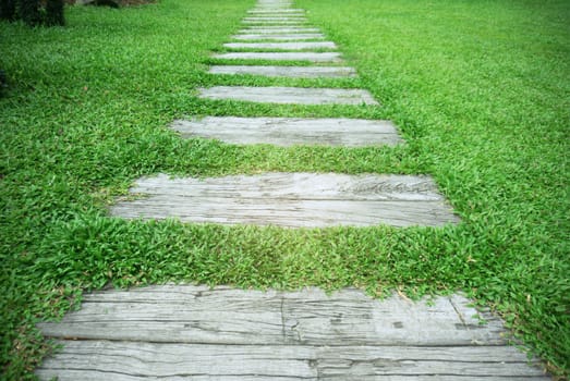 Stone Pathway in the park with green grass background