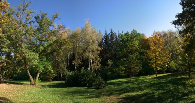 Beautiful autumn trees in Sofiyivka park in the city of Uman, Ukraine