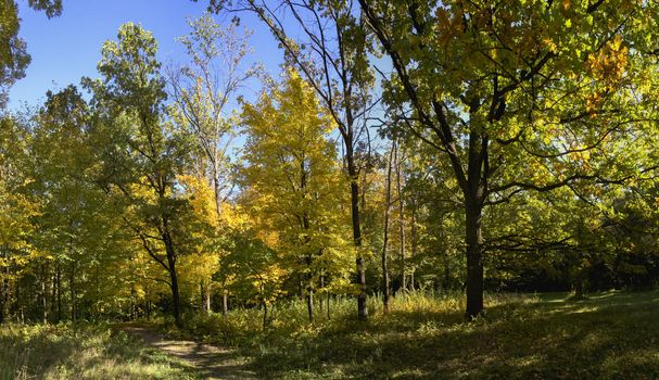 Beautiful autumn trees in Sofiyivka park in the city of Uman, Ukraine