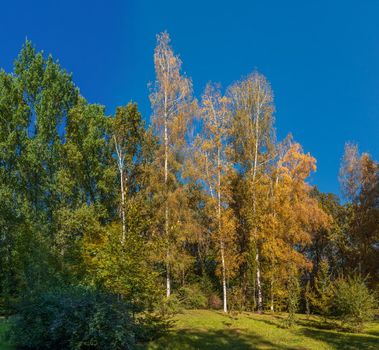 Beautiful autumn trees in Sofiyivka park in the city of Uman, Ukraine