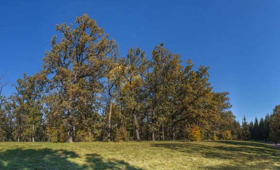 Beautiful autumn trees in Sofiyivka park in the city of Uman, Ukraine