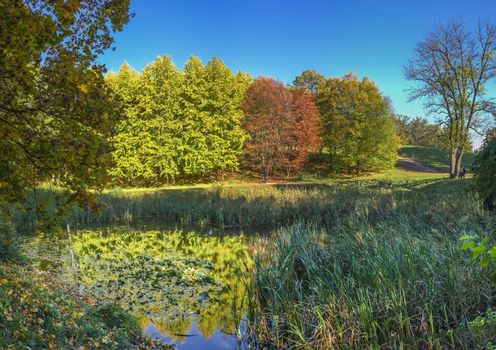 Amazing autumn around the old ponds in Sofiyivka park in Uman, Ukraine