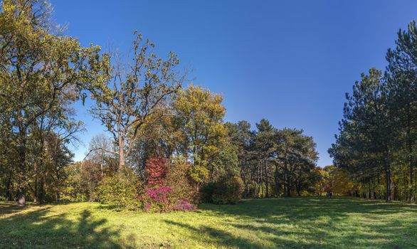 Beautiful autumn trees in Sofiyivka park in the city of Uman, Ukraine