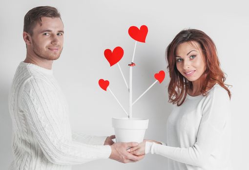 Couple of people holding together pot with tree of love with red hearts , white background
