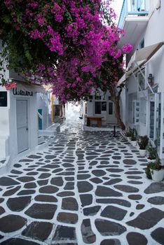 traditional narrow street in Mykonos with blue doors and white walls