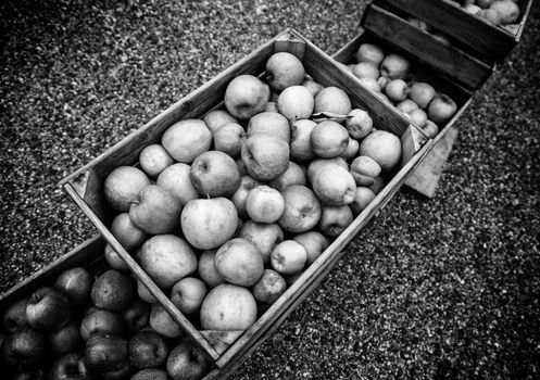 Apples in wooden boxes, detail of fresh fruit, diet and health