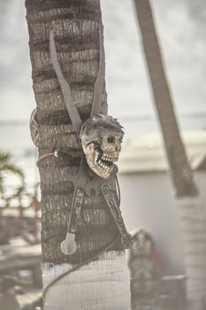 Skull and pair of knives attached to a palm tree: symbol of death and pirates.