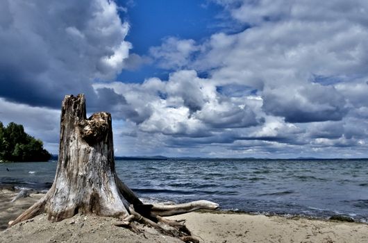 old wood stump on the lake, on the background of cloudy sky, South Ural, Uvildy, in the distance are seen the Ural mountains