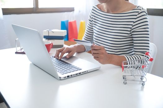 Woman and Small shopping cart with Laptop for Internet online shopping concept