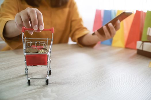 Woman and Small shopping cart with Laptop for Internet online shopping concept