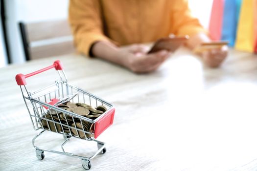 Woman and Small shopping cart with Laptop for Internet online shopping concept