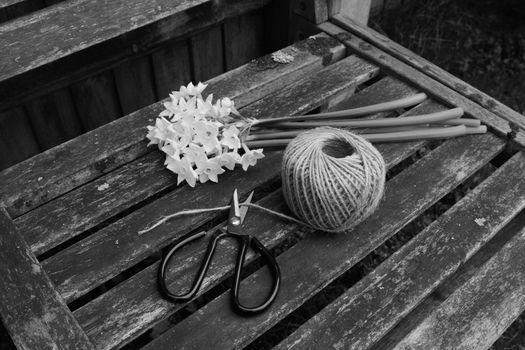 Retro flower scissors cutting garden twine, next to a bunch of white narcissi flowers on a wooden bench - monochrome processing