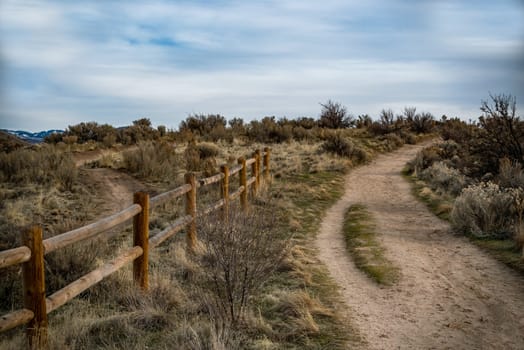 A fencepost trail in the foothills of Idaho.