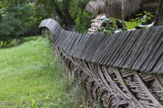 Old Tree Brach Woven Garden Fence