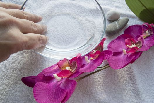 Female hand preparing a bowl of water and accessories for Spa manicure, white background.