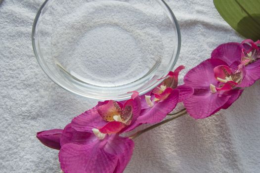 Water bowl and Spa manicure accessories, Orchid on white background.