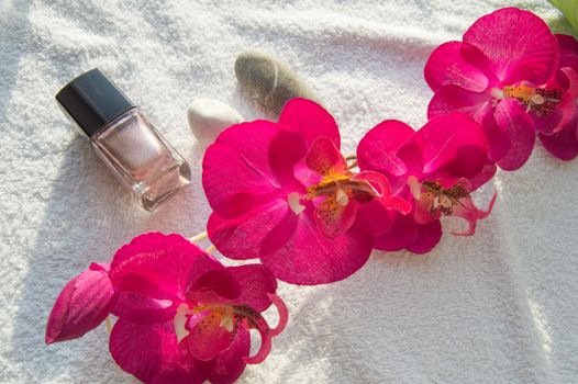 Accessories and tools for Spa manicure, Orchid and stones on white background.