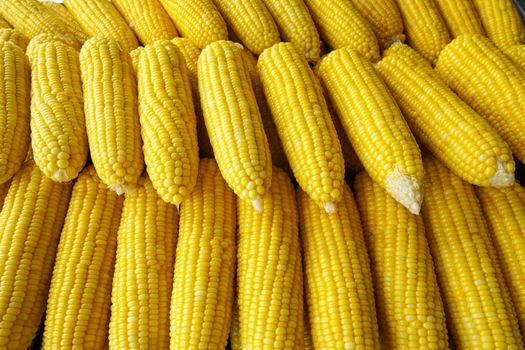 row of boil corn in the market