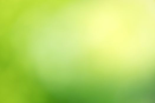 abstract green bokeh background