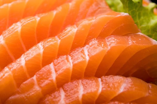 sliced salmon sashimi close up