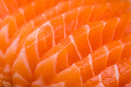 sliced salmon sashimi close up