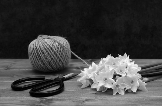 Ball of twine with retro flower scissors and white narcissi blooms on a wooden table - monochrome processing