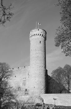 Pikk Hermann tower of Toompea Castle in the Old Town of Tallinn, Estonia - monochrome processing