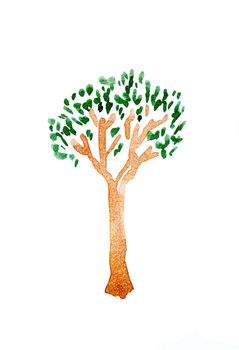 tree of watercolor on white paper isolated