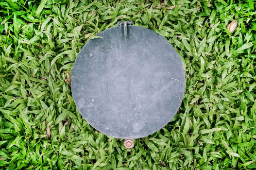 circle steel plate and malaysian grass