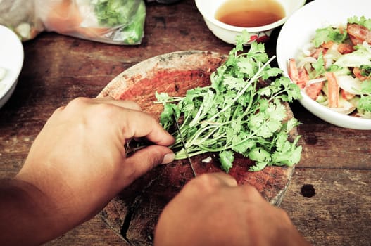 cut of vegetable for yummy food