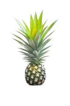 pineapple isolated on white