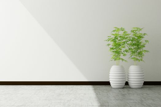 tree pot and white wall interior decorated