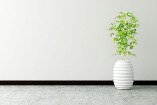 tree pot and white wall interior decorated
