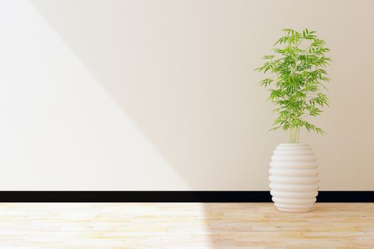 tree pot and white wall interior decorated