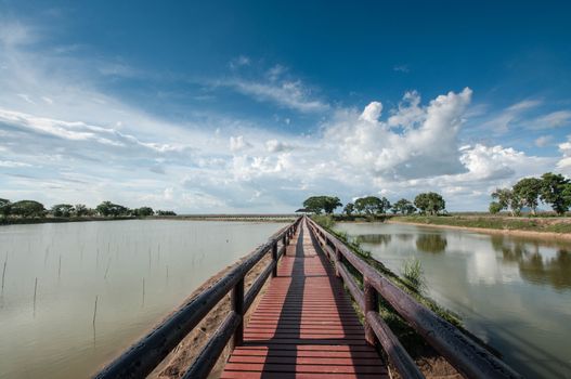 pontoon bridge with blue sky landscape