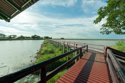 pontoon bridge with blue sky landscape