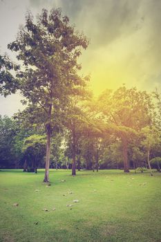 Green of Garden Landscape With Cloudy sky