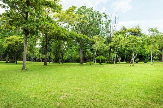 Green of Garden Landscape With Cloudy sky