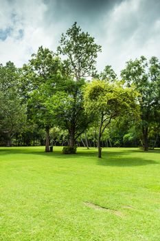 Green of Garden Landscape With Cloudy sky