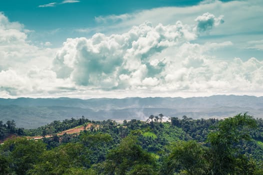 Landscape of mountain green forest and clouds sky