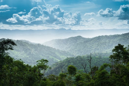 Landscape of mountain green forest and clouds sky