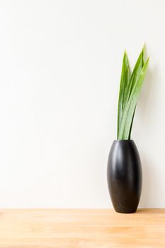 Black Vase and Green Leaf on Wood Table