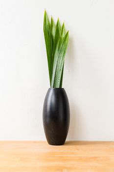 Black Vase and Green Leaf on Wood Table