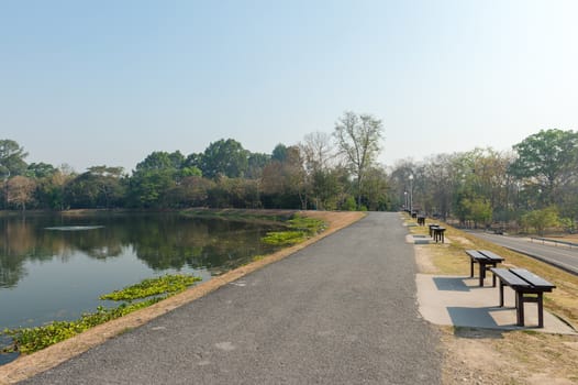 Asphalt Road and Pond Natural Park Landscape