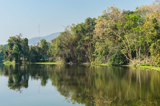 Pond and Tree Forest Landscape