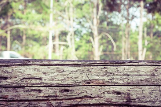 Wood foreground and tree forest