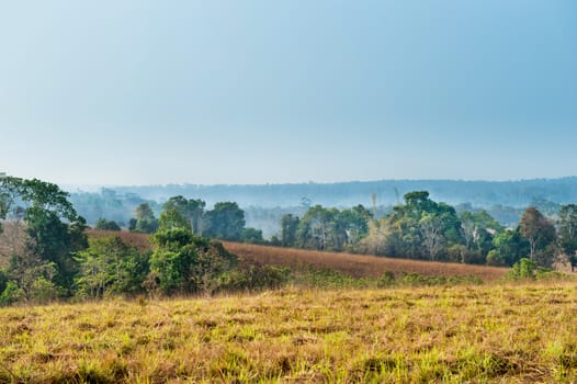 Landscape of Natural park with Mountain
