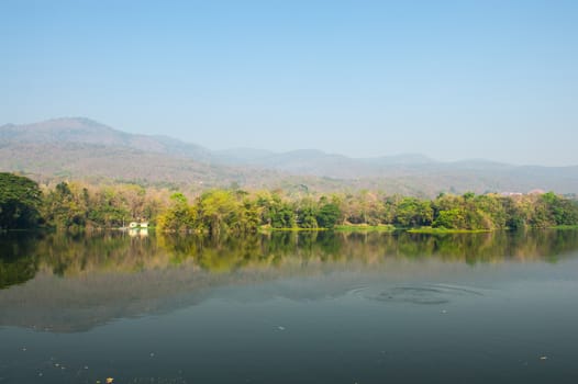 Pond and Tree Forest Landscape