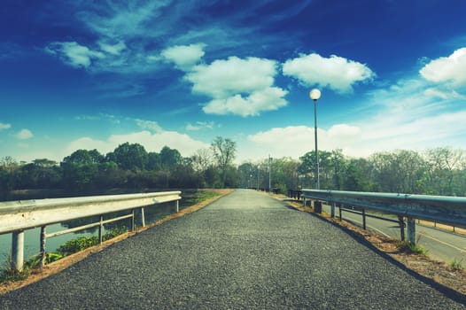 Asphalt Road and Pond Natural Park Landscape